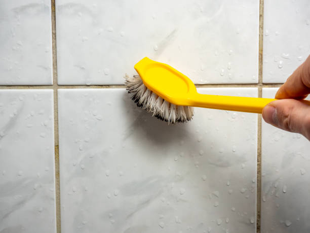 Best Mold Removal and Inspection  in Birdsboro, PA